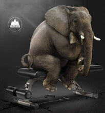 Load image into Gallery viewer, Home Gym Adjustable Workout Bench &amp; Body Building Weight Bench Gym Rated up to 700lb